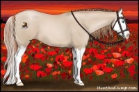 Horse Color:Smoky Blue Roan Pearl Splash 