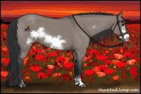 Horse Color:Grullo Roan Sabino Frame