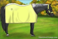 Horse Color:Black Sabino 