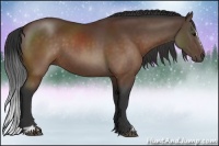 Horse Color:Brown Sabino 