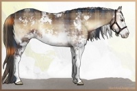 Horse Color:Plaid  Liver Red Onyx Sabino 