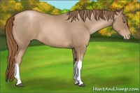 Horse Color:Liver Red Roan Pearl 