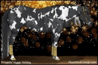 Horse Color:White Spotted Black 