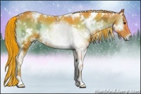Horse Color:Painted Watercolor White Spotted Liver Red Onyx Ice