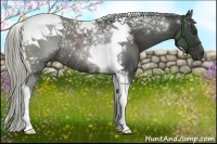 Horse Color:Liver Chestnut Tobiano Rabicano 