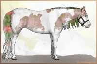 Horse Color:Watercolor Plaid Liver Red Dun Splash Tobiano Rabicano