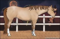Horse Color:Bay Roan Pearl
