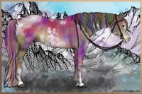 Horse Color:Painted Nacre Liver Chestnut Sabino