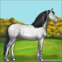Horse Color:White Spotted Classic Champagne Chinchilla Ice Dun 