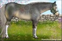 Horse Color:White Spotted Liver Chestnut Rabicano