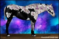 Horse Color:Plaid  Liver Chestnut Sabino Frame 