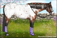 Horse Color:Brown Blanket  and Brown Frame Blanket 