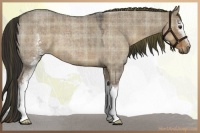 Horse Color:Plaid White Spotted Liver Red Dun Roan