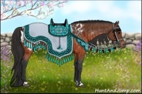 Horse Color:Brown Near Leopard  and Brown Near Leopard Rabicano 