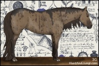 Horse Color:Liver Red Dun 
