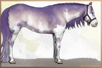 Horse Color:Watercolor Liver Red Onyx Splash