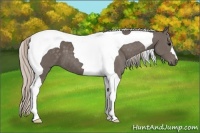 Horse Color:Silver Black Tobiano