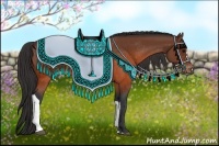 Horse Color:Brown Appaloosa  and Brown Appaloosa Rabicano 