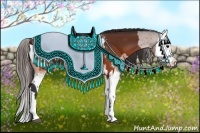 Horse Color:Brown Blanket  and Brown Splash Blanket 