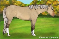Horse Color:Silver Brown Dun