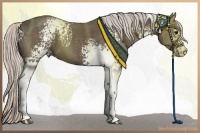 Horse Color:White Spotted Silver Black 