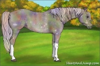 Horse Color:Nacre Silver Black