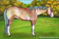 Horse Color:Painted Nacre Bay Onyx 