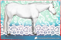 Horse Color:Brown Pearl Dun Sabino Appaloosa Brindle  and Silver Grullo Pearl Sabino Brindle 