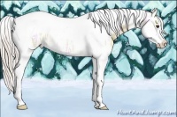 Horse Color:Silver Bay Ice Dun Splash Tobiano