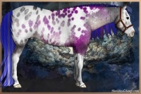 Horse Color:Painted Blue Onyx Sabino Splash Appaloosa 