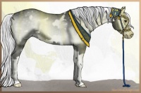 Horse Color:White Spotted Silver Blue Onyx Chinchilla Splash Frame 