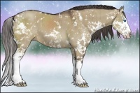 Horse Color:Liver Red Dun Sabino Splash Brindle
