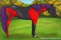 Horse Color:Painted Black 