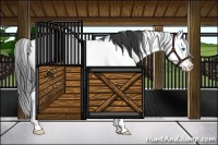 Horse Color:Black Sabino Splash Appaloosa Rabicano 