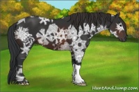 Horse Color:Brown Ice 