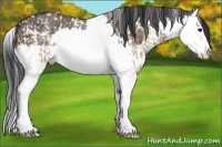 Horse Color:Brown Dun Splash Tobiano Rabicano  and Bay Ice Dun Splash 