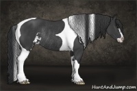 Horse Color:Black Pearl Sabino Tobiano Rabicano