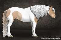 Horse Color:Chestnut Pearl Tobiano Frame Rabicano 