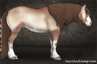 Horse Color:Blue Onyx Pearl Sabino Rabicano