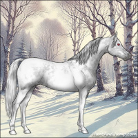 Horse Color:White Spotted Silver Grullo Chinchilla Ice Tobiano 