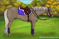Horse Color:Silver Smoky Black 