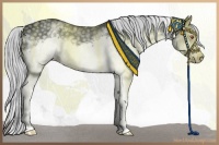 Horse Color:White Spotted Silver Black Chinchilla Frame Rabicano 