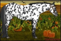 Horse Color:Black Near Leopard 