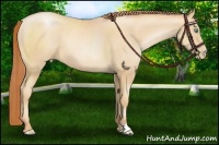 Horse Color:Sable Champagne Pearl
