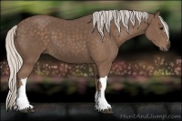 Horse Color:Silver Black 