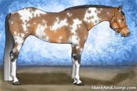 Horse Color:White Spotted Buckskin