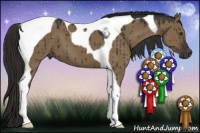 Horse Color:Liver Red Dun Tobiano 