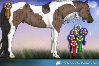Horse Color:Liver Red Dun Tobiano Brindle 