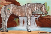 Horse Color:Silver Bay Ice 