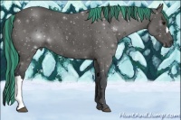 Horse Color:Painted Blue Roan 